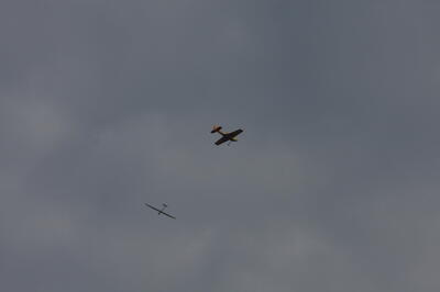 IMG 6555